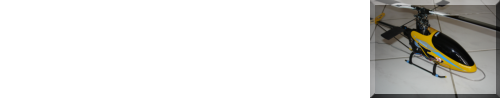 T-Rex 450 XL von Align Er musste bereits nach 2 Wochen dem Logo weichen